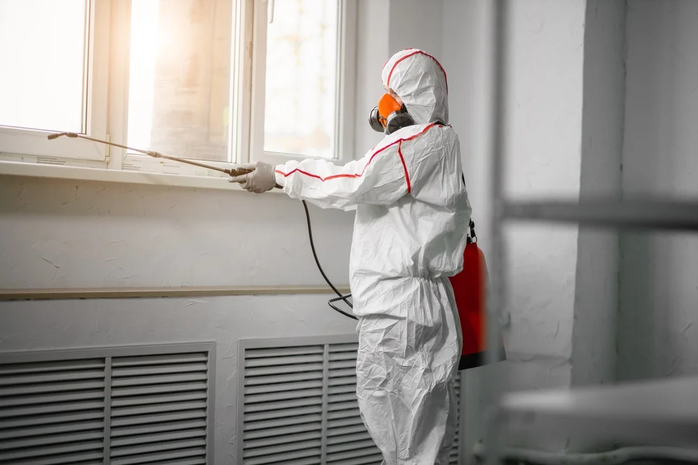 Professional mold remediation services in Sweeny, TX